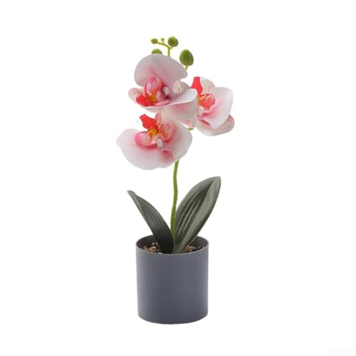 Charmante künstliche Orchidee im Topf, ein perfektes dekoratives Stück für Ihren Schreibtisch, Regal oder Wohnraum (flaches Pulver) von Lawnoval
