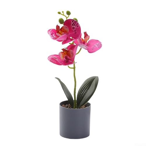 Charmante künstliche Orchidee im Topf, ein perfektes dekoratives Stück für Ihren Schreibtisch, Regal oder Wohnraum (lila) von Lawnoval