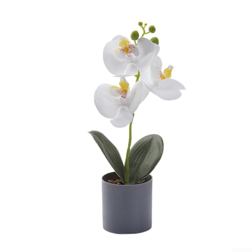 Charmante künstliche Orchidee im Topf, ein perfektes dekoratives Stück für Ihren Schreibtisch, Regal oder Wohnraum (weiß) von Lawnoval