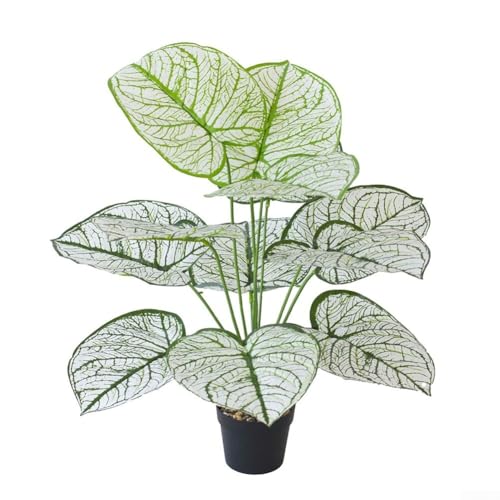 Nordischer Stil Simulation Bonsai Grünpflanze für Garten und Heimdekoration, künstliche Kunststoffblätter Pflanze mit botanischer Genauigkeit, kein Topf (#2) von Lawnoval