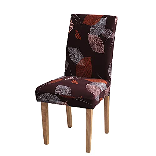 Layack Stuhlhussen 6er Set Elastische Moderne Beschützer Stuhlhussen, Abnehmbarer Waschbarer Stühle Schutz Dekoration Stuhlbezug für Esszimmer, Hotel, Bankett, Hochzeit, Partys Deko von Layack