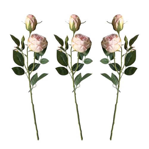 Layba Künstliche Rosen 3er Set Pfirsich 55 cm – Premium Seidenblumen, 2 Rosen + 1 Knospe je Zweig, realistische Kunstblumen Deko für Hochzeit, Tischdeko, Brautstrauß, Party, DIY, langlebig (Pfirsich) Layba Künstliche Rosen 3er Set Pfirsich 55 cm – Premium Seidenblumen, 2 Rosen + 1 Knospe je Zweig, realistische Kunstblumen Deko für Hochzeit, Tischdeko, Brautstrauß, Party, DIY, langlebig (Pfirsich) von Layba