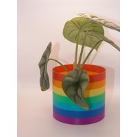 Übertopf Blumentopf Pflanztopf Vase Für Blumen Pflanzen Regenbogen Farben Übertopf Blumentopf Pflanztopf Vase Für Blumen Pflanzen Regenbogen Farben von Layertec
