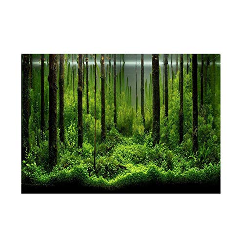 Lazmin Aquarium-Plakat, PVC-klebendes Unterwasserwaldaquarium-Hintergrund-Plakat, Fisch-Aquarium-Hintergrund-Dekorations-Papier mit Selbstklebendem Entwurf(61 * 30cm) von Lazmin