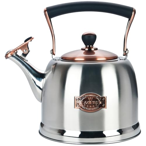 Teekessel aus Edelstahl, Teekanne aus Edelstahl, Teekessel für Herdplatte mit hitzebeständigem ergonomischem Griff, 3 l von Lazneyru