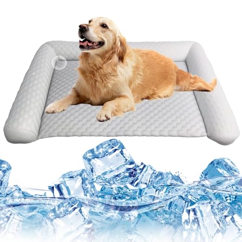 Lbotr Pet Ice Mat Cooling Mat, KüHlmatte Katze, KüHlmatte FüR Hunde & Katzen, SelbstküHlende Hundebett Unterlage Mit Gel, Wasserdicht & rutschfest, Weiche KüHlmatte FüR Haustiere (Grau, 50 * 30) von Lbotr