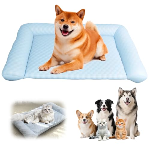 Lbotr Pet Ice Mat Cooling Mat, KüHlmatte Katze, KüHlmatte FüR Hunde & Katzen, SelbstküHlende Hundebett Unterlage Mit Gel, Wasserdicht & rutschfest, Weiche KüHlmatte FüR Haustiere (Grau, 60 * 35) von Lbotr
