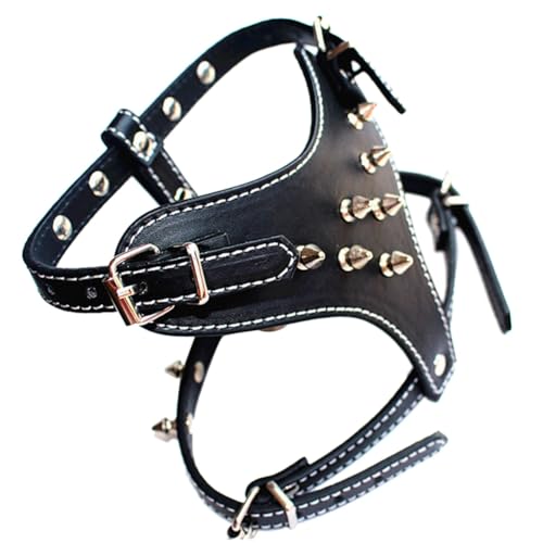 Lckiioy Hundegeschirr aus Leder, mit Nieten, für kleine Rassen, Hundegeschirr, Hundehalsband, 1 Stück, Schwarz von Lckiioy