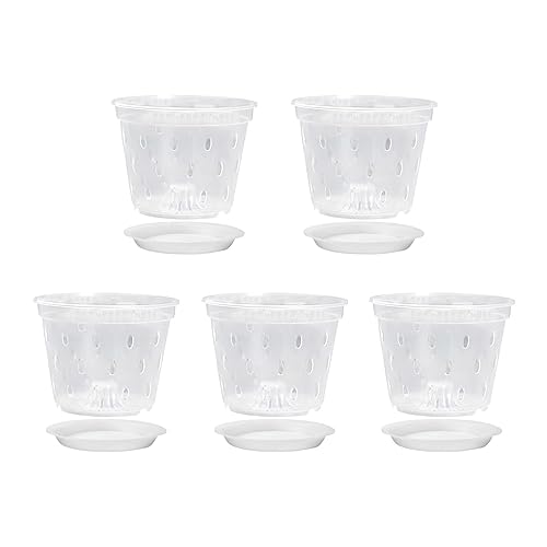 Ldabrye Pflanzensetzling-Tasse Sukkulenten Orchideen Topf Blumentasche Transparent Ernährung Kindergarten Tasse Ernährung Topf Schüssel Behälter 5 Stück von Ldabrye