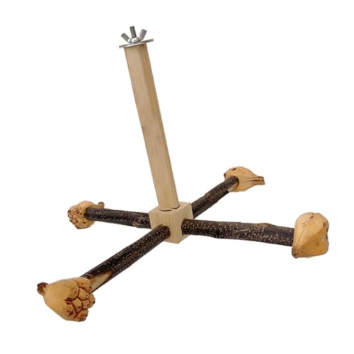 Ldabrye Vogel-Sitzstange aus Holz, drehbar, für Papageien, Sittiche, Schleifkratzer für kleine Papageien, Vogelkauspielzeug von Ldabrye