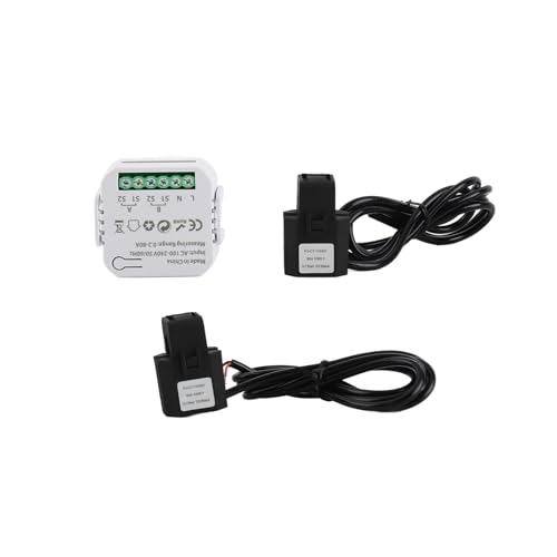 80A intelligenter bidirektionaler WLAN-Energiezähler mit 2 Stück 80A CT-Stromwandlerklemmen, Sensoren, Echtzeit-App und Sprachassistent, Fernbedienung, von Ldafava