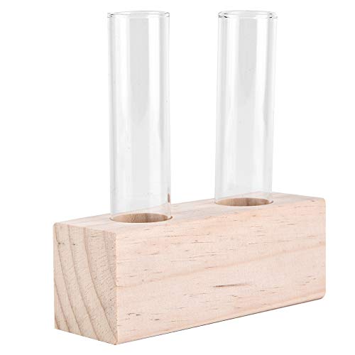 Glasprüfrohr Blumentopf Hydroponische Pflanze Vase Terrarium Container Elegant Modern Home Office mit Holzregal Transparent 12 cm von Ldafava