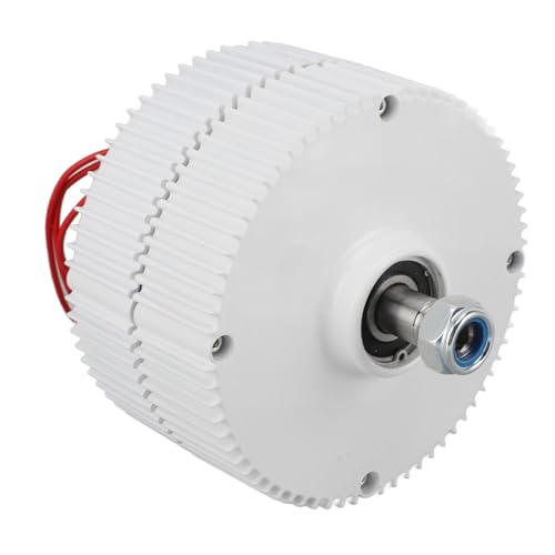 Ldafava 3 Phase AC Permanent Magnet Generatorgenerator Hocheffizienz 24 V Dualachsen synchroner Leistungsausgang für vertikale horizontale Windturbinen Aluminiumlegierung Kohlenstoffstahl (300W) von Ldafava