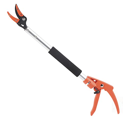 Obstpicker Schere Cutter für Trauben Pfirsichzweig beschneiden Schere Gartenzubehör von Ldafava