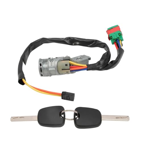 Advanced Car Metal Metal Hohe Empfindlichkeit Zündungen Lockzylinder Starterschalter Schnelle Reaktion Für C2 4162AH 4162AG N0501413 Hohe Kompatibilitätszündung von Ldbuejiaja