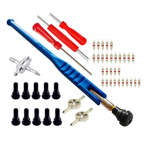 Komplettes 47-teiliges Reifenventil-Reparaturwerkzeug-Set, Ventile, Schaft-Montagewerkzeug, einfach zu bedienendes Design für Garage und Außenbereich von Ldbuejiaja
