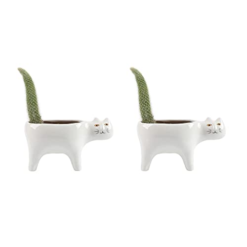 Ldbuejiaja Cartoon Für Katzenblumenpot Sukkulenten Pflanzer Mit Entwässerung Keramik Pflanze P Keramik Katze Blumentopf von Ldbuejiaja