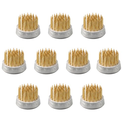 Ldirect Edelstahl Blumenfrosch Runde Blumenfrösche Kenzan Flower Fixed Tools Blumenarrangement Halter(Gold 0,9 Zoll (10 Stück)) von Ldirect