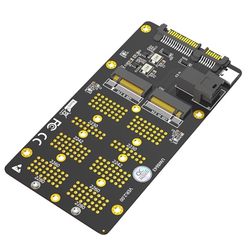 LeHang 2 in 1 Combo M.2(NGFF) NVMe SSD/SATA-Bus SSD auf SFF-8643 und SATA Adapter von LeHang