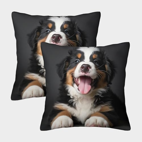 LeHuaiMa Berner Berghund Weicher Haustier Kissenbezug Mit Reißverschluss, 2er Pack, Perfekt Für Office Cushion Und Seasonal Decor, Waschbar 45x45cm LeHuaiMa Berner Berghund Weicher Haustier Kissenbezug Mit Reißverschluss, 2er Pack, Perfekt Für Office Cushion Und Seasonal Decor, Waschbar 45x45cm von LeHuaiMa