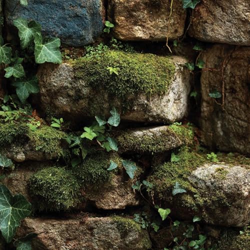 Fototapete Steinmauer 3D Wandtapete Selbstklebend Tapete 44x500 cm Grünes Moos Mustertapete Wandtapete Wohnzimmer Schlafzimmer Wasserdicht Wallpaper Küche Fototapete Steinmauer 3D Wandtapete Selbstklebend Tapete 44x500 cm Grünes Moos Mustertapete Wandtapete Wohnzimmer Schlafzimmer Wasserdicht Wallpaper Küche von LeIxIaO
