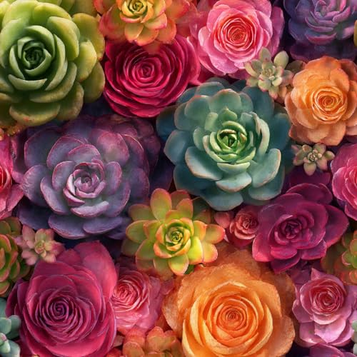 Fototapete Sukkulenten 3D Wandtapete Selbstklebend Tapete 44x1000 cm Bunte Blumen Mustertapete Wandtapete Wohnzimmer Schlafzimmer Wasserdicht Wallpaper Küche Fototapete Sukkulenten 3D Wandtapete Selbstklebend Tapete 44x1000 cm Bunte Blumen Mustertapete Wandtapete Wohnzimmer Schlafzimmer Wasserdicht Wallpaper Küche von LeIxIaO