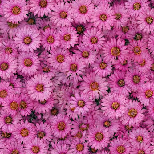 Tapete Selbstklebende Fototapete Wandpapier 44x300 cm Rosa Chrysanthemen Dekorfolie Möbelfolie Klebefolie Retro Kinderzimmer Mustertapete Klebetapete Wasserdicht von LeIxIaO