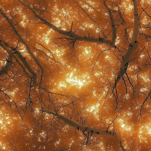 Tapete Selbstklebende Fototapete Wandpapier 44x600 cm Herbstwald Dekorfolie Möbelfolie Klebefolie Ahornblatt Kinderzimmer Mustertapete Klebetapete Wasserdicht von LeIxIaO