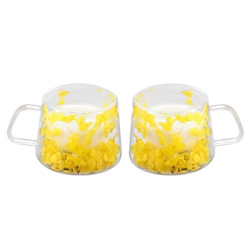 LeKuni 2er-Pack Latte Macchiato Gläser Mit Trockenblumen, 200ml Doppelwandige Gläser, Espressotassen Thermogläser Doppelwandig Cappuccino Tassen, Für Tee,EIS,Eistee,Iced Americano,Milch,Saft -Gelb von LeKuni
