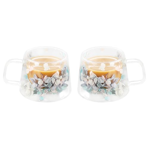 LeKuni 2er-Pack Latte Macchiato Gläser Mit Trockenblumen, 200ml Doppelwandige Gläser, Espressotassen Thermogläser Doppelwandig Cappuccino Tassen, Für Tee,EIS,Eistee,Iced Americano,Milch -Mehrfarbig von LeKuni