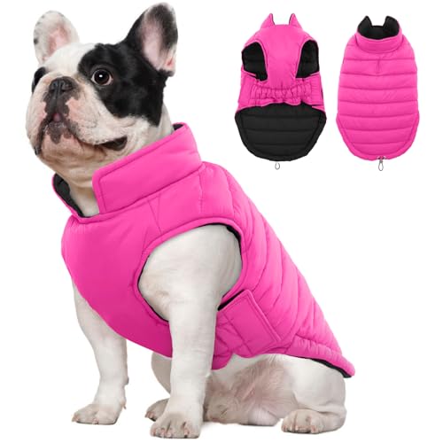 Lelepet Hundemantel Winter Jacke für Kleine Hunde, Wasserdicht Warmer Hunde Winterjacke, Wendbarer Winddicht Hundejacke mit Klettverschluss, Rosa XS Lelepet Hundemantel Winter Jacke für Kleine Hunde, Wasserdicht Warmer Hunde Winterjacke, Wendbarer Winddicht Hundejacke mit Klettverschluss, Rosa XS von LeLePet