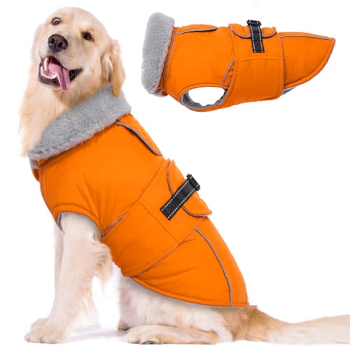 Lelepet Hundemantel Winterweste Reflektierende Fleece Hundejacke für Große Hunde Wasserdicht Hundejacke Wintermantel Warme Winterjacke mit Verstellbarer Schnalle, Orange 2XL Lelepet Hundemantel Winterweste Reflektierende Fleece Hundejacke für Große Hunde Wasserdicht Hundejacke Wintermantel Warme Winterjacke mit Verstellbarer Schnalle, Orange 2XL von LeLePet