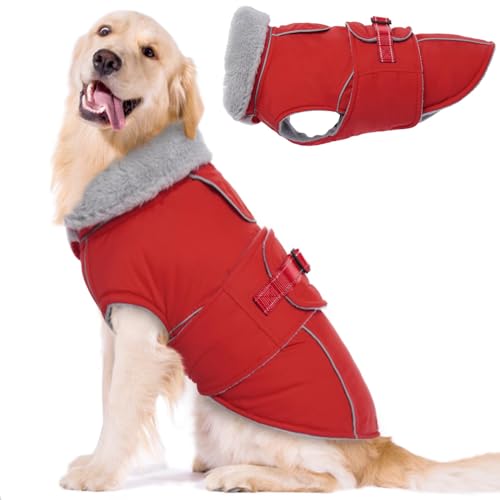 Lelepet Hundemantel Winterweste Reflektierende Fleece Hundejacke für Große Hunde Wasserdicht Hundejacke Wintermantel Warme Winterjacke mit Verstellbarer Schnalle, Rot 2XL Lelepet Hundemantel Winterweste Reflektierende Fleece Hundejacke für Große Hunde Wasserdicht Hundejacke Wintermantel Warme Winterjacke mit Verstellbarer Schnalle, Rot 2XL von LeLePet
