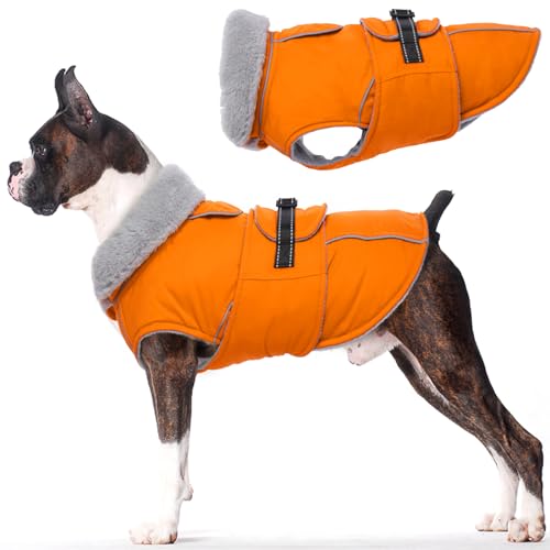 Lelepet Hundemantel Winterweste Reflektierende Fleece Hundejacke für Kleine Hunde Wasserdicht Hundejacke Wintermantel Warme Winterjacke mit Verstellbarer Schnalle, Orange S Lelepet Hundemantel Winterweste Reflektierende Fleece Hundejacke für Kleine Hunde Wasserdicht Hundejacke Wintermantel Warme Winterjacke mit Verstellbarer Schnalle, Orange S von LeLePet