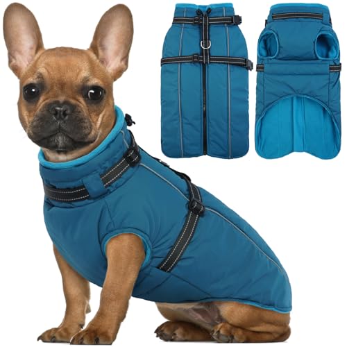 Lelepet Hundemantel für den Winter, Warme Hundejacke mit integriertem Geschirr, Winddicht Mantel mit Fleece Gefüttert für Hunde, Reflektierende Hundeweste für Kaltes Wetter, Blau XS Lelepet Hundemantel für den Winter, Warme Hundejacke mit integriertem Geschirr, Winddicht Mantel mit Fleece Gefüttert für Hunde, Reflektierende Hundeweste für Kaltes Wetter, Blau XS von LeLePet