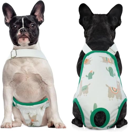 Lelepet Hundewindeln für Hündinnen, Waschbar Windeln für Hunde mit Verstellbarem Strumpfhalter, Wiederverwendbare Hunde Periodenhose, Hündinnen Läufigkeitshose Welpenwindeln, Grün L von LeLePet
