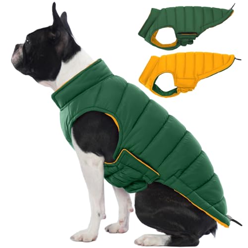 Lelepet Warme Hunde-Pufferjacke, wendbar, gepolstert, winddicht, leicht, für kaltes Wetter, Hundeanzug mit Haken und Schlaufe, fusselfrei, Mäntel für mittelgroße Hunde, Mops, Grün, Größe M Lelepet Warme Hunde-Pufferjacke, wendbar, gepolstert, winddicht, leicht, für kaltes Wetter, Hundeanzug mit Haken und Schlaufe, fusselfrei, Mäntel für mittelgroße Hunde, Mops, Grün, Größe M von LeLePet