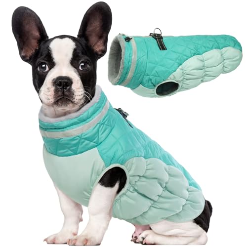 Lelepet Wasserdicht Hundemantel, Winter Winddicht Hundejacke mit Geschirr, Warme Reflektierend Schneeanzug Winterweste, Kaltes Wetter Hundepullover für Kleine Mittlere Große Hunde (Mintgrün, XS) von LeLePet