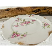 Frankreich 2 Tlg Set Antike D & C France Limoges Frühstücksteller Kuchenteller Salatteller Teller Floral Shabby Franske Frankreich 2 Tlg Set Antike D & C France Limoges Frühstücksteller Kuchenteller Salatteller Teller Floral Shabby Franske von LePetitVillageDE