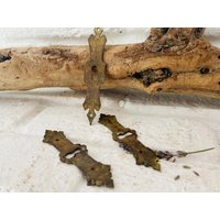 Frankreich 3 Tlg Set Bezaubernde Uralte Möbelgriffe Schublade Beschläge Messing Truhe No 5 Frankreich 3 Tlg Set Bezaubernde Uralte Möbelgriffe Schublade Beschläge Messing Truhe No 5 von LePetitVillageDE