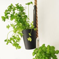 Hängende Blumentöpfe Aus Natur Jute Seil Für Die Einfache Befestigung An Der Decke - Schwebender Pflanzentopf Tau Blumenampel von LeTOMAdesign