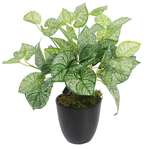 Leaf Künstliche Caladium-Pflanze, Blätter, 40 cm, mit Topf von Leaf