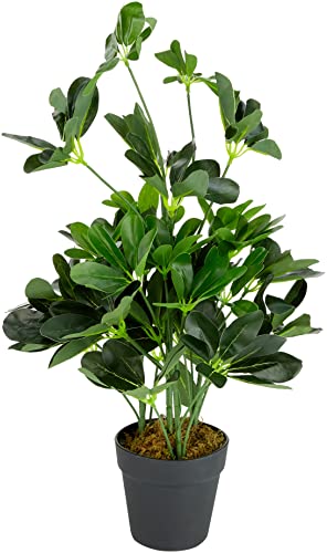 Leaf Künstlicher Schefflera Arboricola Regenschirm, 55 cm, schwarzer Kunststoff-Topf, dunkelgrüne Pflanze von Leaf