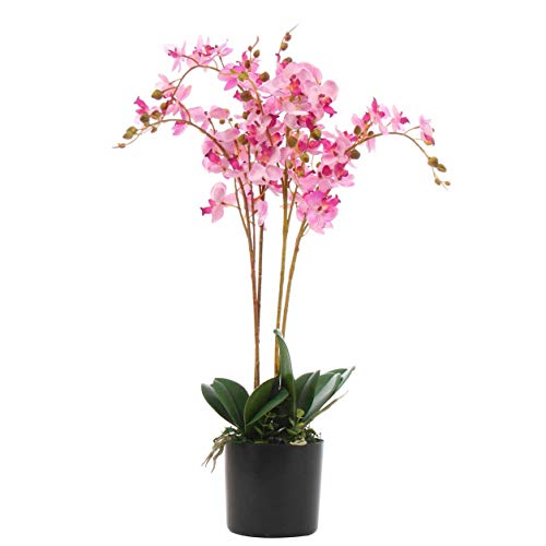 Leaf Kunstpflanze Orchideenblatt, realistisch, 60 cm, Rosa von Leaf