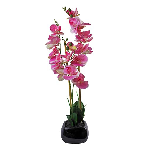 Leaf 70cm Artificial Orchid with Black Ceramic Planter Künstlicher Orchideen-Übertopf, 65 cm, Verschiedene Materialien, Hellrosa/Schwarz, 70 cm von Leaf