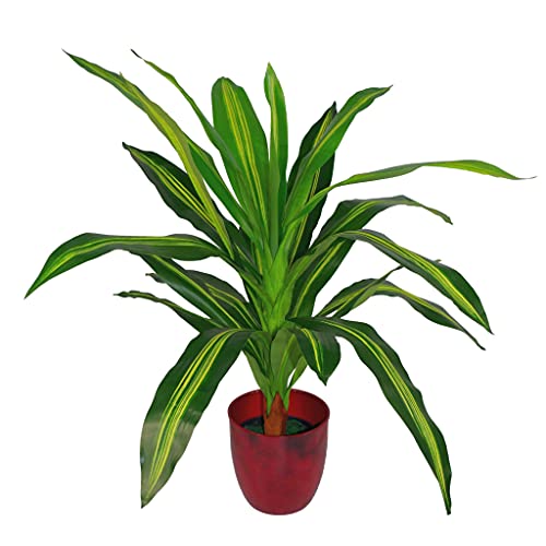 Leaf Design Tropische Kunstpflanzen Tropical, 90 cm Dracaena, 90 cm von Leaf