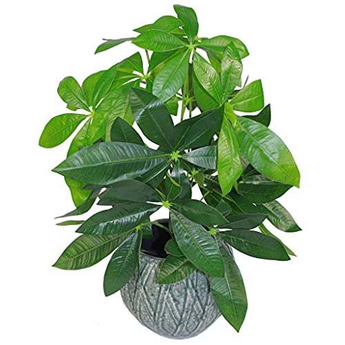 Leaf Design Tropische Kunstpflanzen Tropical, Jade-Pflanze, 50 cm, 50 cm von Leaf