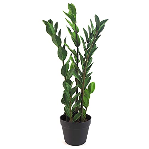 Leaf Design Tropische Kunstpflanzen Tropical, 75 cm Zamioculcas, 75 cm von Leaf