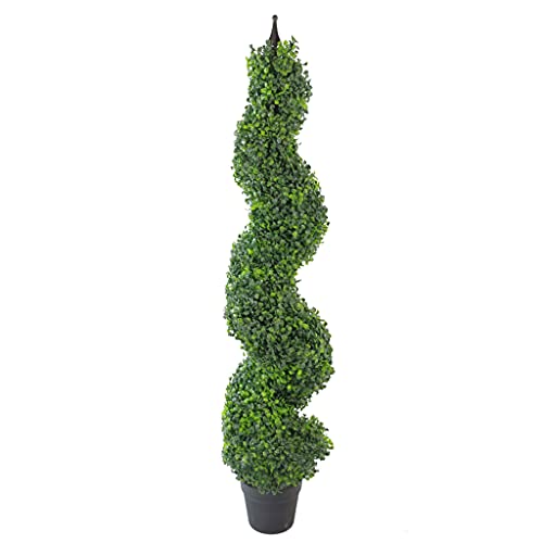 Leaf Design UK Buxus Buchsbaum-Spiralbäume von Leaf