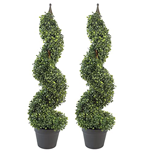 Leaf Design UK Buxus Buchsbaum-Spiralbäume von Leaf